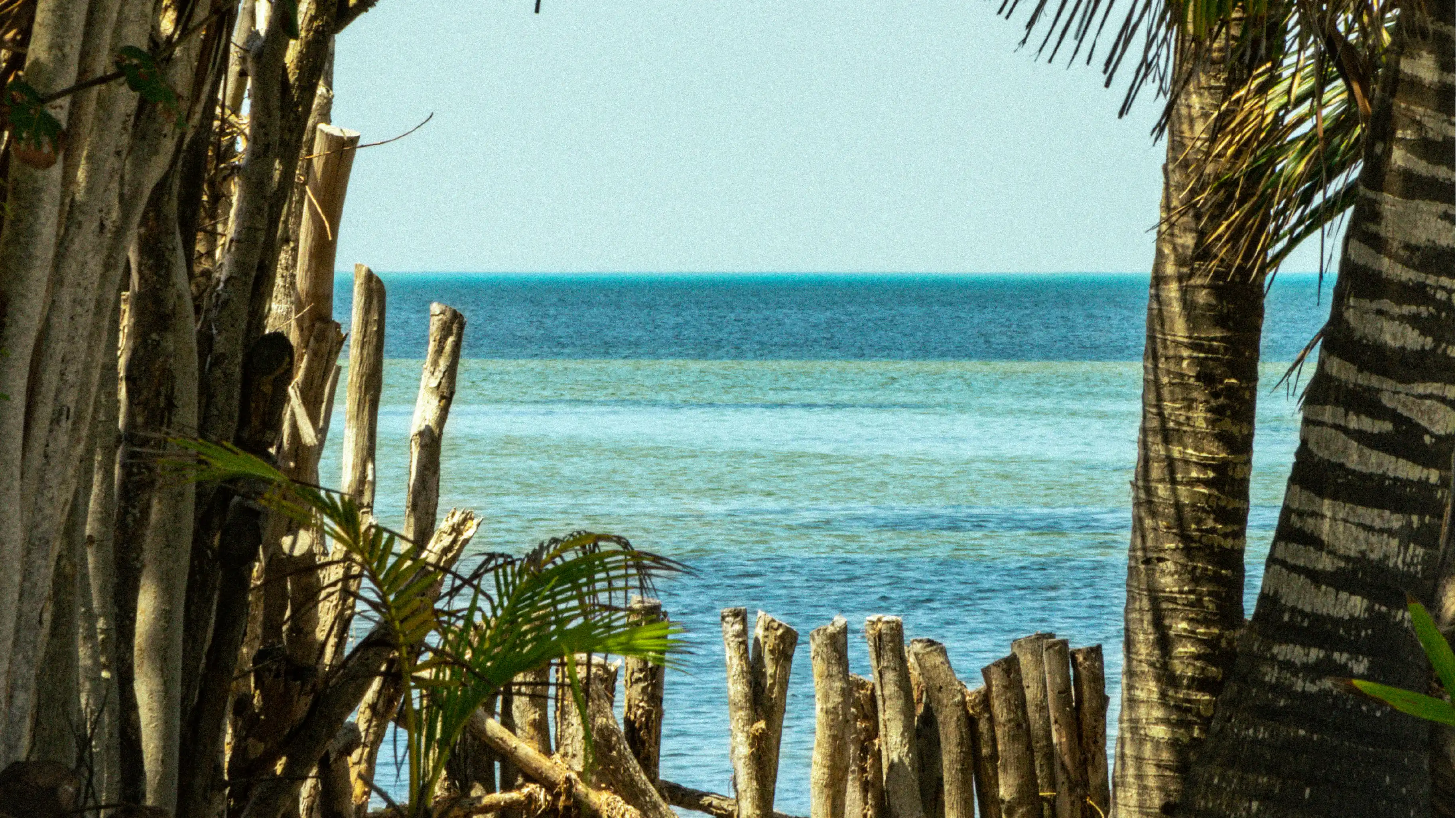 Amenidad frente al mar